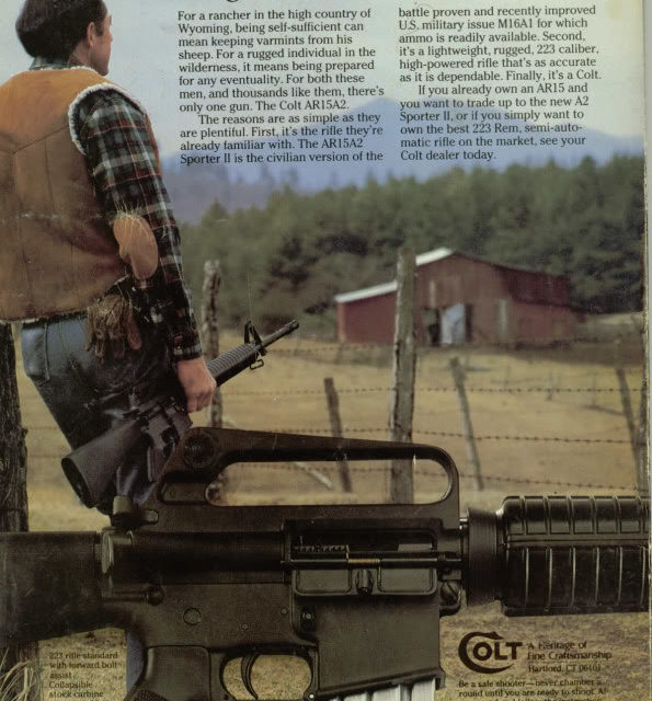 Preparedness Groups and Community