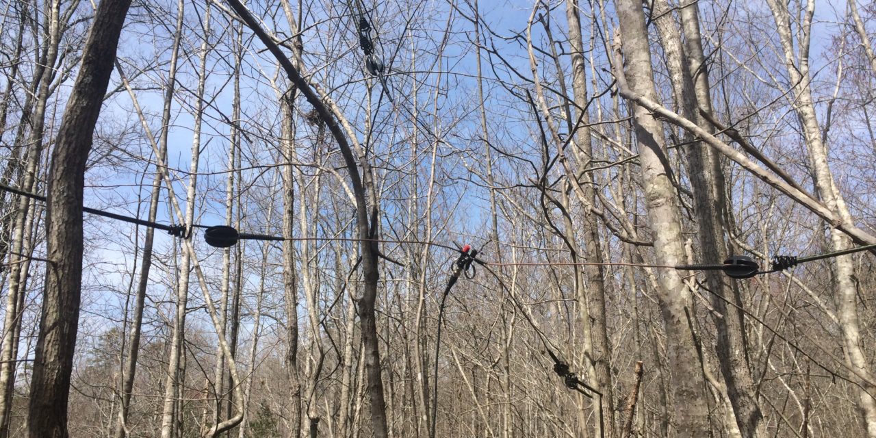 The Jungle Antenna Revisited Task and Purpose for the Partisan and