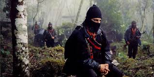 Inside the Radical Left: Organized Eco-Terror