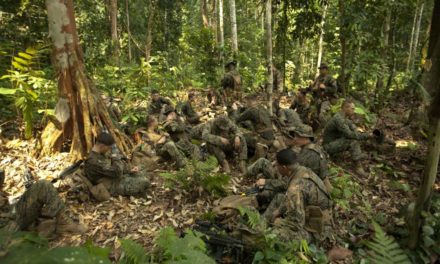 Winning In The Jungle: B-720 Tips of the Trade