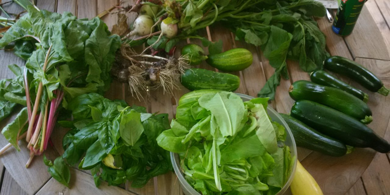 Living Off the Land – Gardening