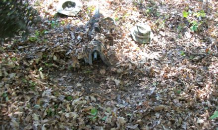 Basic Camouflaging For Your Weapon