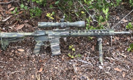 “Aim Small, Miss Small”: A Primer On Building Designated Marksman Skills