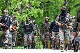 Interesting Observations On The Kalashnikov