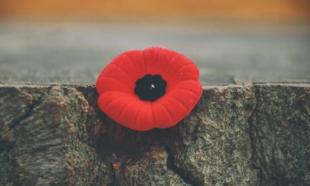 Thoughts on Veteran’s Day