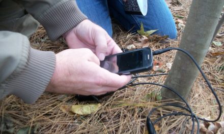 Practical Notes on FLDigi Over Handheld Radios, Part 2
