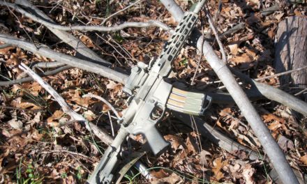 A Potent PDW: Palmetto State Armory’s 10.5in Pistol