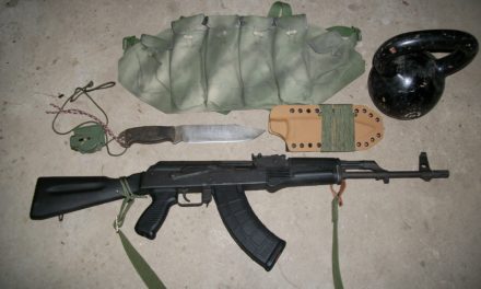 Arm Thy Neighbor: The Type 81 Chest Rig