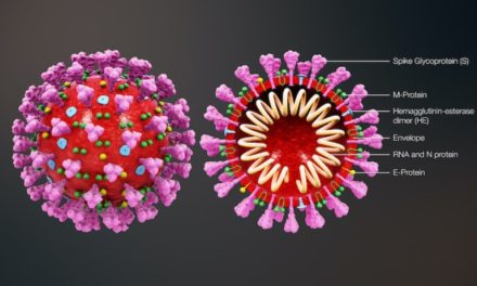 Coronavirus Link Rollup – American Partisan