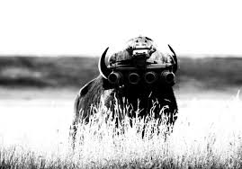 Radio Contra Episode 13