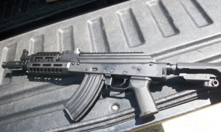 PSA AK-P: First Shots, First Thoughts