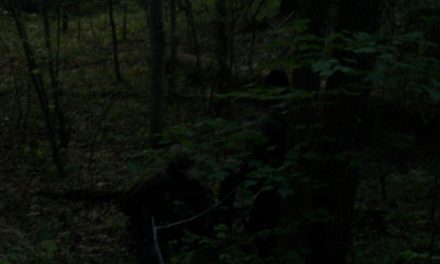 Brushbeater Scout Course: Two Students’ Reviews