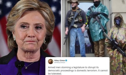 So we’re ‘Domestic Terrorists’, is that it?