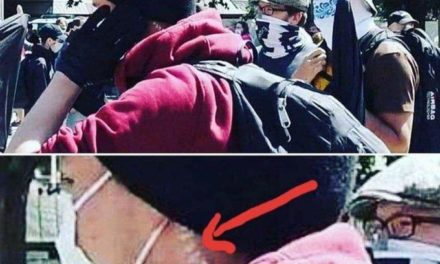 Our Current National Situation, by Green Mountain Shooter