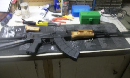 PSA GF3 AK: A Pic-Heavy Update