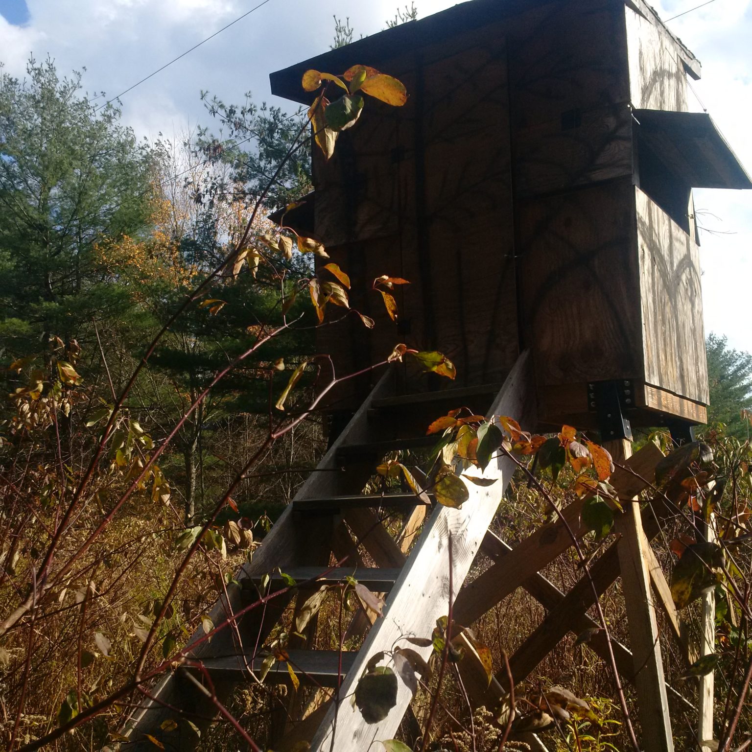 Hunting From An Elevated Stand American Partisan