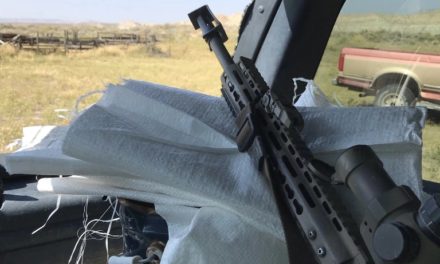 Badlands Fieldcraft: Gear Review: Primary Arms Platinum 1-8x ACSS Riflescope
