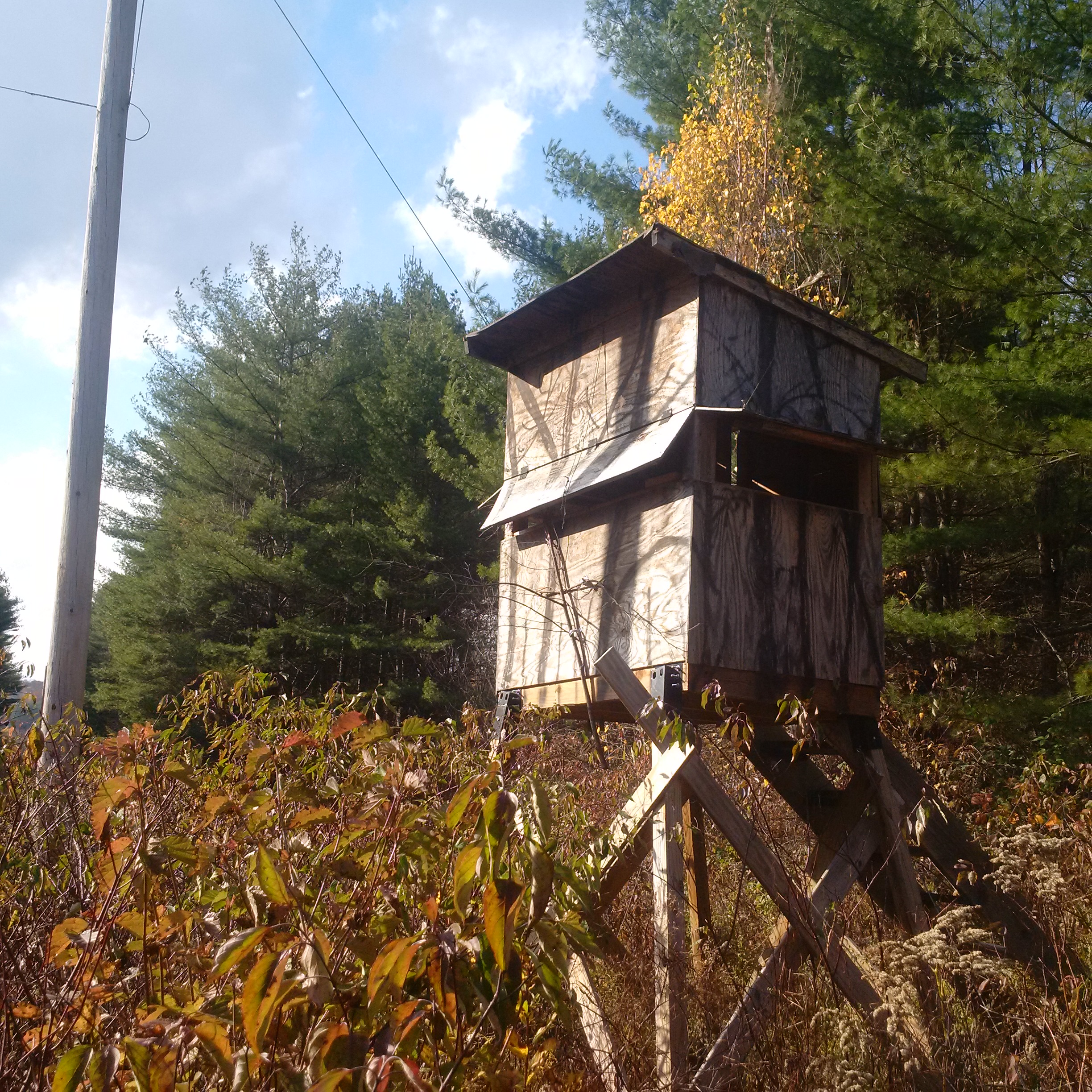 Hunting From An Elevated Stand American Partisan