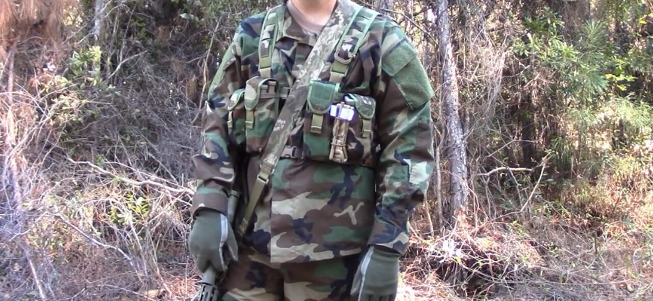 M81 Woodland, part 2.