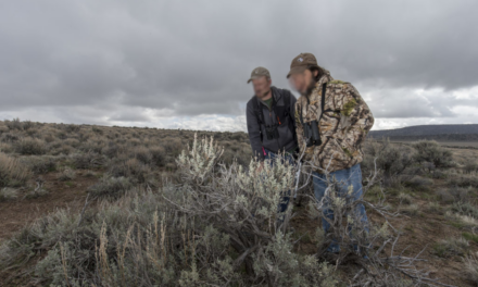 Commo Questions, Answered