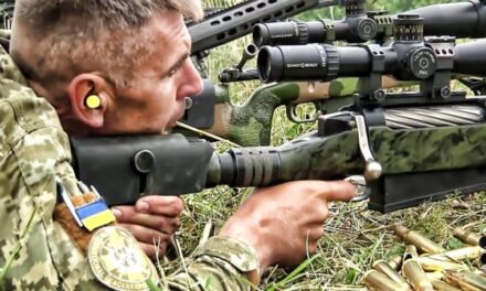 The Role of Snipers in the Donbas Trench War