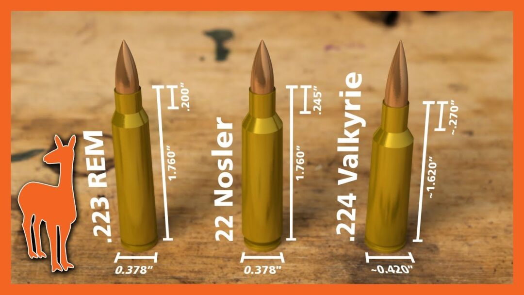 Fenix Ammunition History Of The 223 Remington Cartridge Part 1 American Partisan