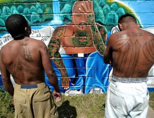 TX2GUNS: Know Your Enemy: MS13 & Co.