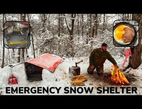 Solo Overnight Building an Emergency Shelter in The Snow and Steak with Eggs